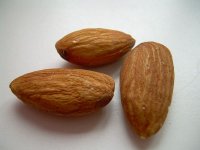 Almonds02_1.jpg